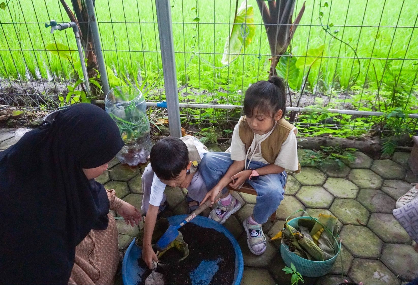 Green Explorer 1 - moana jpg